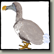 dodo card button