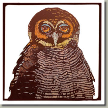 brown owl print